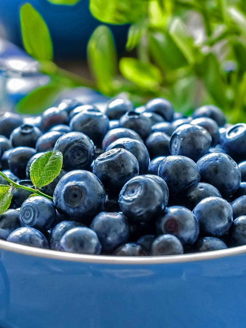 Parabenos presentes de forma natural en moras, uvas y otras frutas