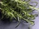 romero, planta, hierba, ingrediente, stock