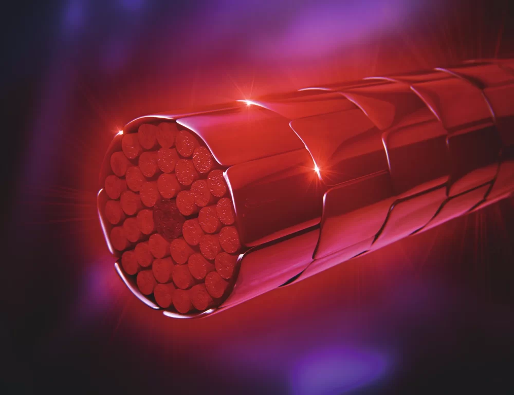 IGORA ZERO AMM, SCHWARZKOPF PROFESSIONAL, tecnología phytolipid, infografía, hebra capilar