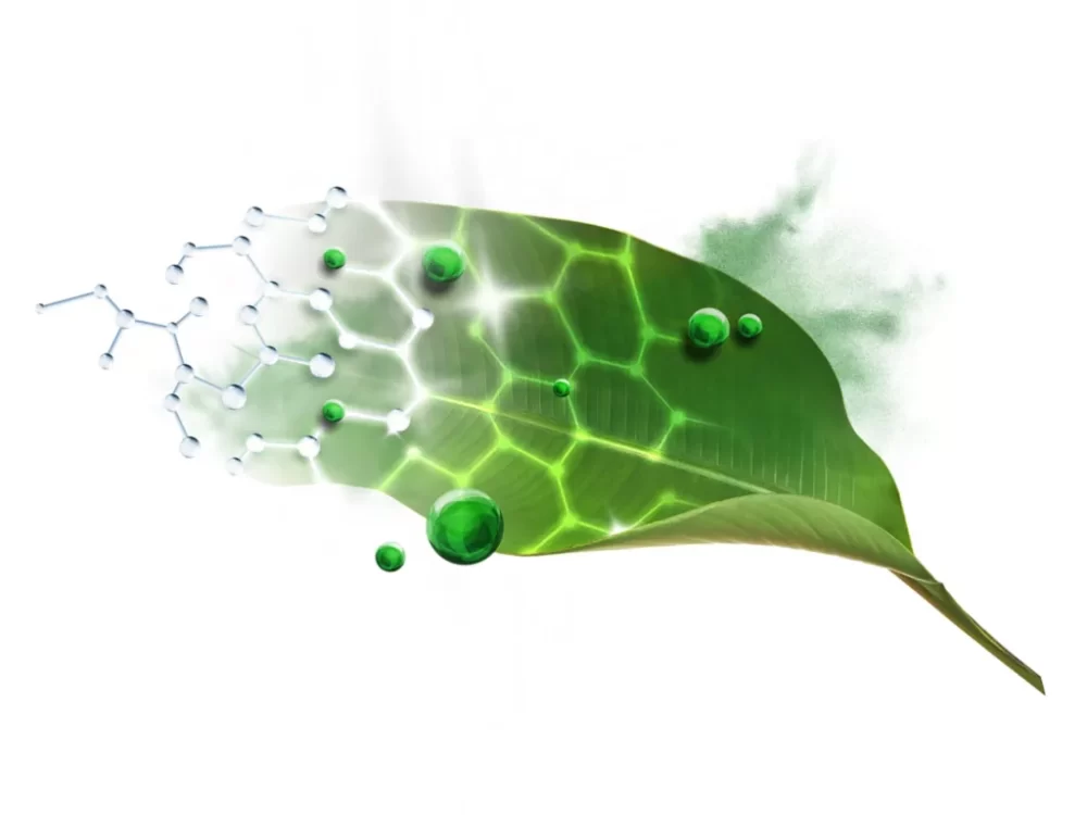 Vegan Keratin de Schwarzkopf Professional