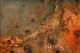 textura metálica oxidada en tonos marrones y cobrizos que inspira la Lawrence House Collection de Natashia Gagnon